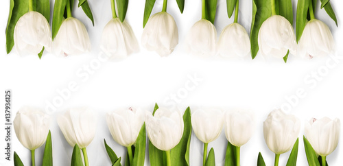 Dekoracja na wymiar  biale-tulipany-z-cieniem