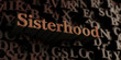 Sisterhood - Wooden 3D rendered letters/message.  Can be used for an online banner ad or a print postcard.