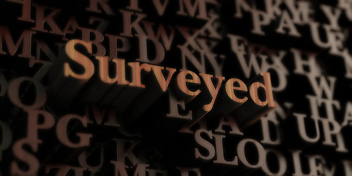 Surveyed - Wooden 3D rendered letters/message.  Can be used for an online banner ad or a print postcard.