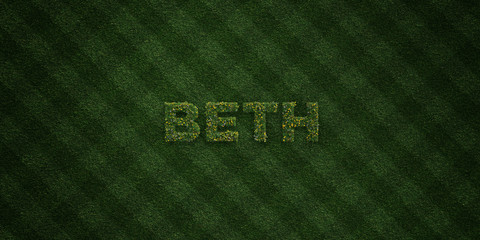 Fototapete - BETH - fresh Grass letters with flowers and dandelions - 3D rendered royalty free stock image. Can be used for online banner ads and direct mailers..