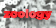 Zoology -  Red Text On Typography Background - 3D Rendered Royalty Free Stock Image. This Image Can Be Used For An Online Website Banner Ad Or A Print Postcard.