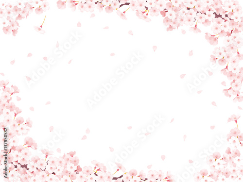 さくら花びら白フレーム Stock イラスト Adobe Stock