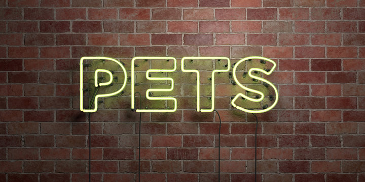 PETS - fluorescent Neon tube Sign on brickwork - Front view - 3D rendered royalty free stock picture. Can be used for online banner ads and direct mailers..