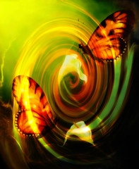 Poster - flying butterfly on decorative background with cala flower and swirl effect.