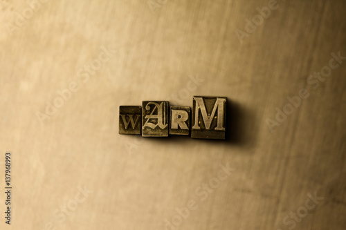 Fotografie, Obraz WARM - close-up of grungy vintage typeset word on metal backdrop