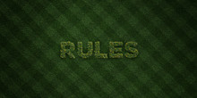 RULES - Fresh Grass Letters With Flowers And Dandelions - 3D Rendered Royalty Free Stock Image. Can Be Used For Online Banner Ads And Direct Mailers..