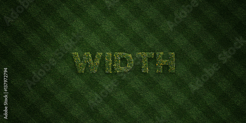Fotografia, Obraz WIDTH - fresh Grass letters with flowers and dandelions - 3D rendered royalty free stock image