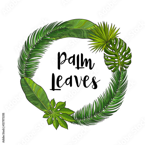 Round frame of tropical palm leaves with place for text, sketch vector illust...