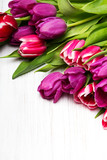 Fototapeta Tulipany - Tulip bouquet on white wooden background, copy space
