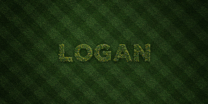 LOGAN - fresh Grass letters with flowers and dandelions - 3D rendered royalty free stock image. Can be used for online banner ads and direct mailers..