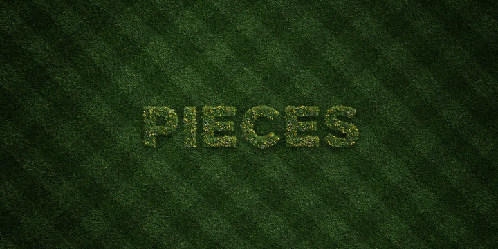 PIECES - fresh Grass letters with flowers and dandelions - 3D rendered royalty free stock image. Can be used for online banner ads and direct mailers..