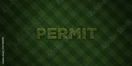 Fotografía PERMIT - fresh Grass letters with flowers and dandelions - 3D rendered royalty free stock image