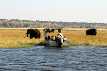 Boot Mit Touristen Beobachtet Elefanten Im Chobe Nationalpark
