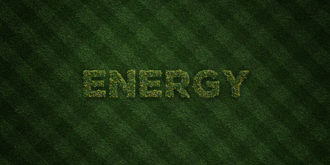 ENERGY - fresh Grass letters with flowers and dandelions - 3D rendered royalty free stock image. Can be used for online banner ads and direct mailers..