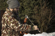 Mężczyzna w zimowym lesie przeładowuje broń pneumatyczną. Mężczyzna w białym zimowym lesie ładuje broń długą Mężczyzna ładuje wiatrówkę w zimowym zaśnieżonym lesie.