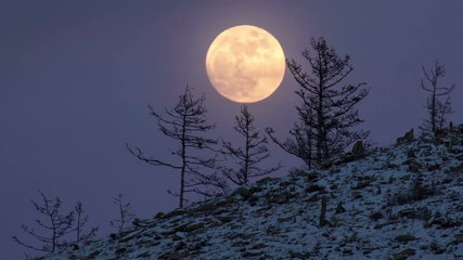 Wall Mural - Night Time lapse Large full bright moon rises from above hill into sky.