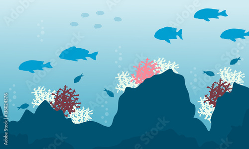 sylwetka-beaty-oceanu-z-rybami-i-rafa