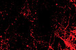 © Nattapol_Sritongcom - Grunge style Halloween background with blood splats