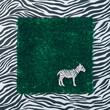 zebra on piece of lawn