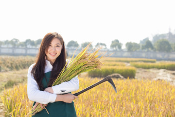 pretty asian woman in golden cereal field