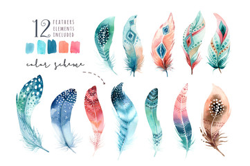 hand drawn watercolor paintings vibrant feather set. boho style wings. illustration isolated on whit