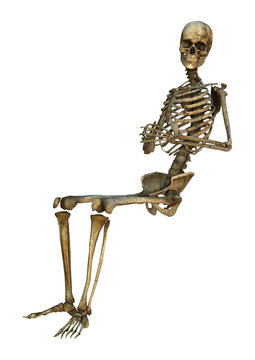 3D Rendering Human Skeleton on White