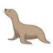 Seal animal icon, cartoon style