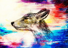 Fox Portrait, Pencil Drawing On Paper And Color Effect.