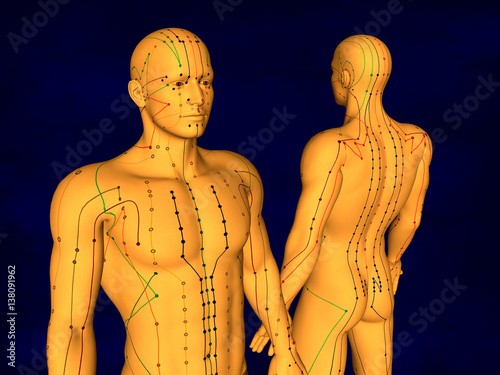 Fotografia Acupuncture Model