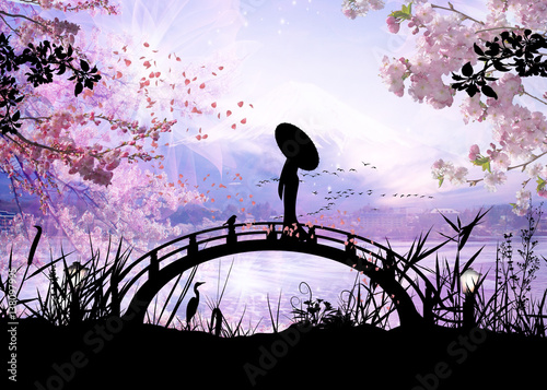 Naklejka dekoracyjna Sylwetka stojącej dziewczyny na moście