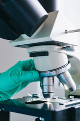 Wall Mural - modern microscope in the laboratory. closeup shot.