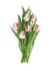 Wall Mural - Bouquet of tulips isolated on white background. Spring flowers. Greeting card for Valentine's Day, Woman's Day and Mother's Day . Top view