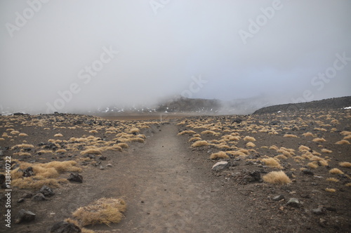 Mount Doom (Mount Ngaunuhoe) Walkway at Tongariro Alpine Crossing, Mount Ngaunuh Poster