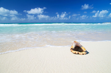 Canvas Print -  beach