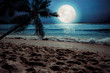 Beautiful fantasy tropical beach with star and full moon in night skies (seascape) - Retro style artwork with vintage color tone