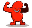 strong kidney