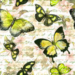 © zzorik - Flowers, butterflies, hand written text note. Watercolor. Vintage seamless pattern