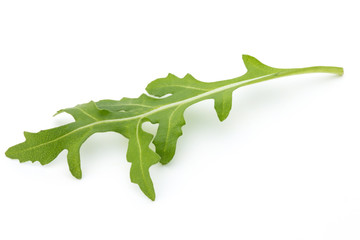 Wall Mural - Close up studio shot of green fresh rucola isolated on white background.