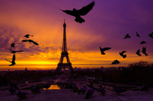 Awesome Incredible Pink-orange-lilac Sunrise. View Of The Eiffel Tower From The Trocadero. Birds Doves Flying In The Foreground. Beautiful Morning Cityscape. Paris. France.