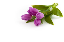 Bouquet Of Purple Tulips On A White Background, Isolated With Copy Space. Greeting Card.