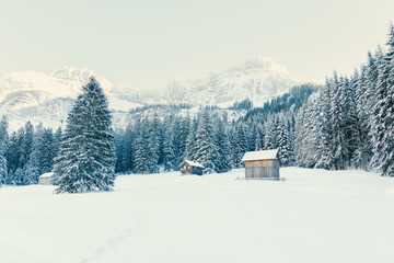 Wall Mural - wooden houses in winter nature