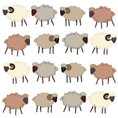 Seamless pattern  with sheep