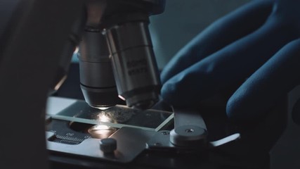 Wall Mural - Close up view of scientist hands with gloves set the sample in the microscope for research