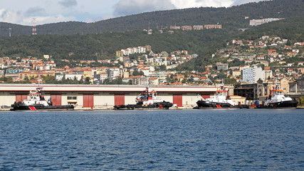 Wall Mural - Tugs