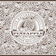 Vintage Pineapple Label On Seamless Pattern