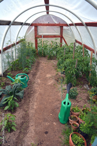 Plastic Greenhouse With Vegetables And Gardening Tools This Plastic Greenhouse With Vegetables And Gardening Tools
