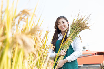 young asian woman in golden cereal field