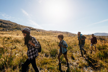 Wall Mural - Young men and women hiking on a summer day