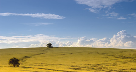 Landscape Modrice