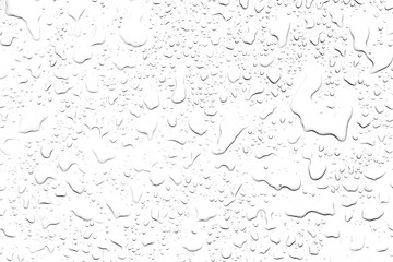 Fototapete - The concept of water drops on a white background